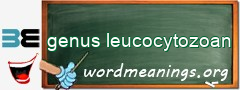 WordMeaning blackboard for genus leucocytozoan